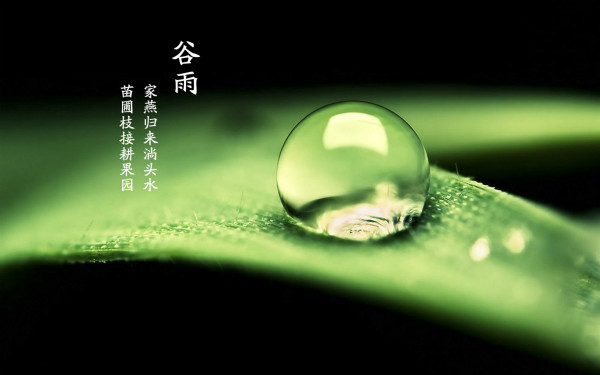 谷雨时节健脾祛湿,谷雨祛湿气最快的食谱