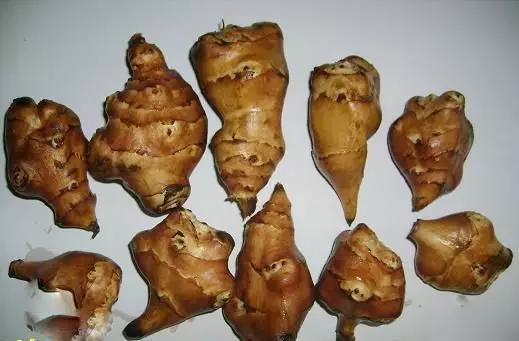 这些野果你都吃过吗,这些童年的美味野果