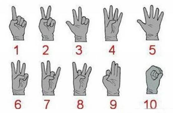 军事战斗手势,大写的懵字