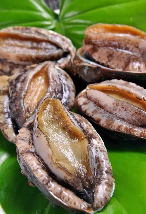 那些不认识的海鲜小干货,超级干货2022