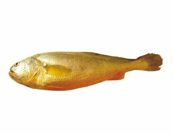 那些不认识的海鲜小干货,超级干货2022