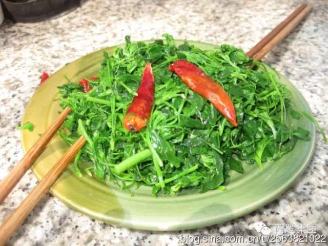 还记得，那一曲，苜蓿唱给岁月的歌