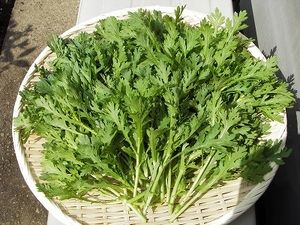 喉咙痛忌口15种食物,喉咙痛吃的食物