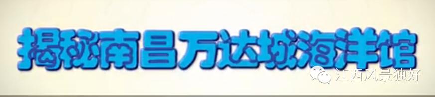 南昌万达海洋乐园在哪里,南昌万达海洋乐园主题公园