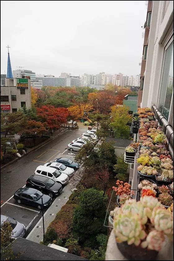 直播间不退不换的韩货,未来直播带货会持续红火吗