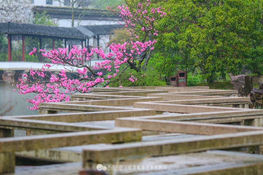 太仓南园游记,烟雨江南太仓一日游