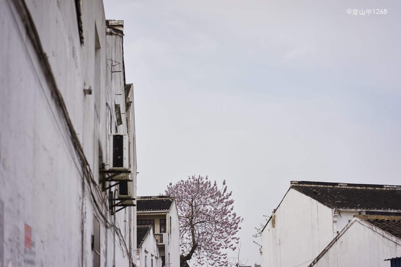 无锡农历四月二十玉祁镇庙会,三月三无锡哪个地方庙会