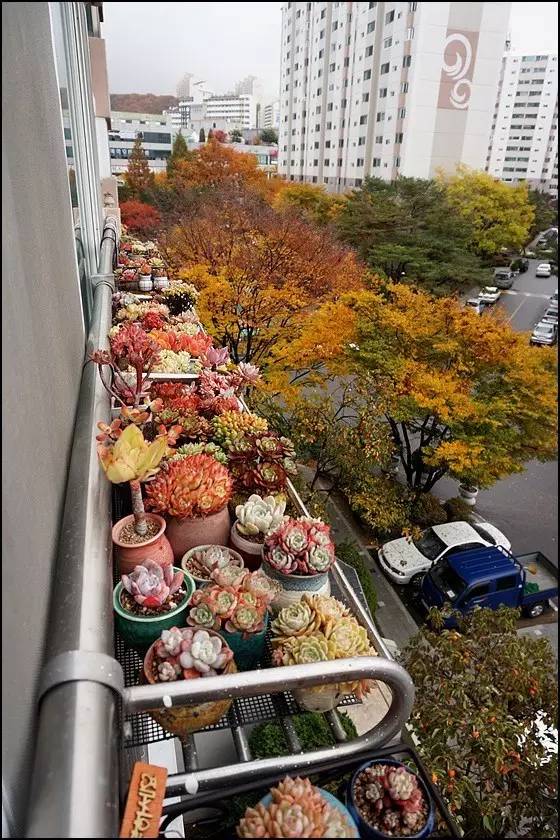 直播间不退不换的韩货,未来直播带货会持续红火吗