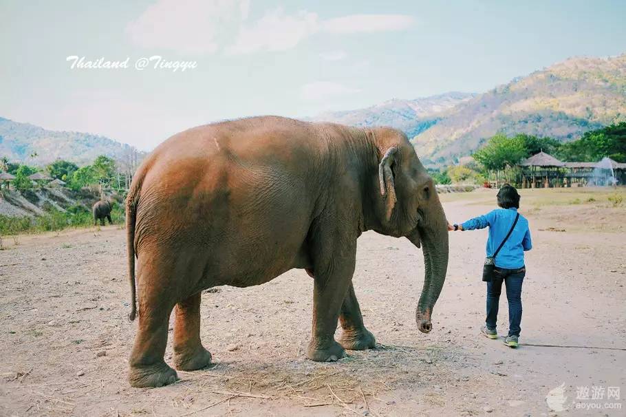旅游攻略泰国免费,攻略带你了解最美的泰国景点
