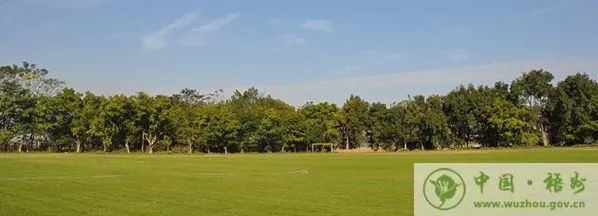 2023年中国足协颁奖,中国足协青少年足球锦标赛冠军