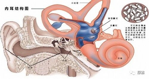 益阳康雅医院内科,益阳康雅医院神经科