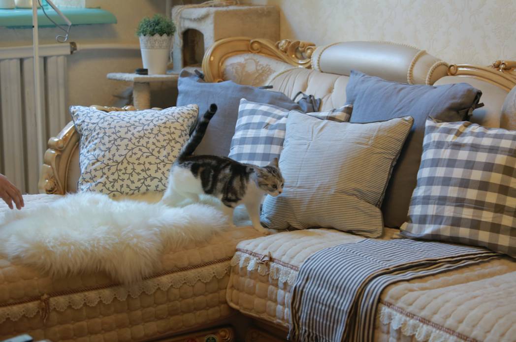 宜家装修1000元,宜家装出豪华感