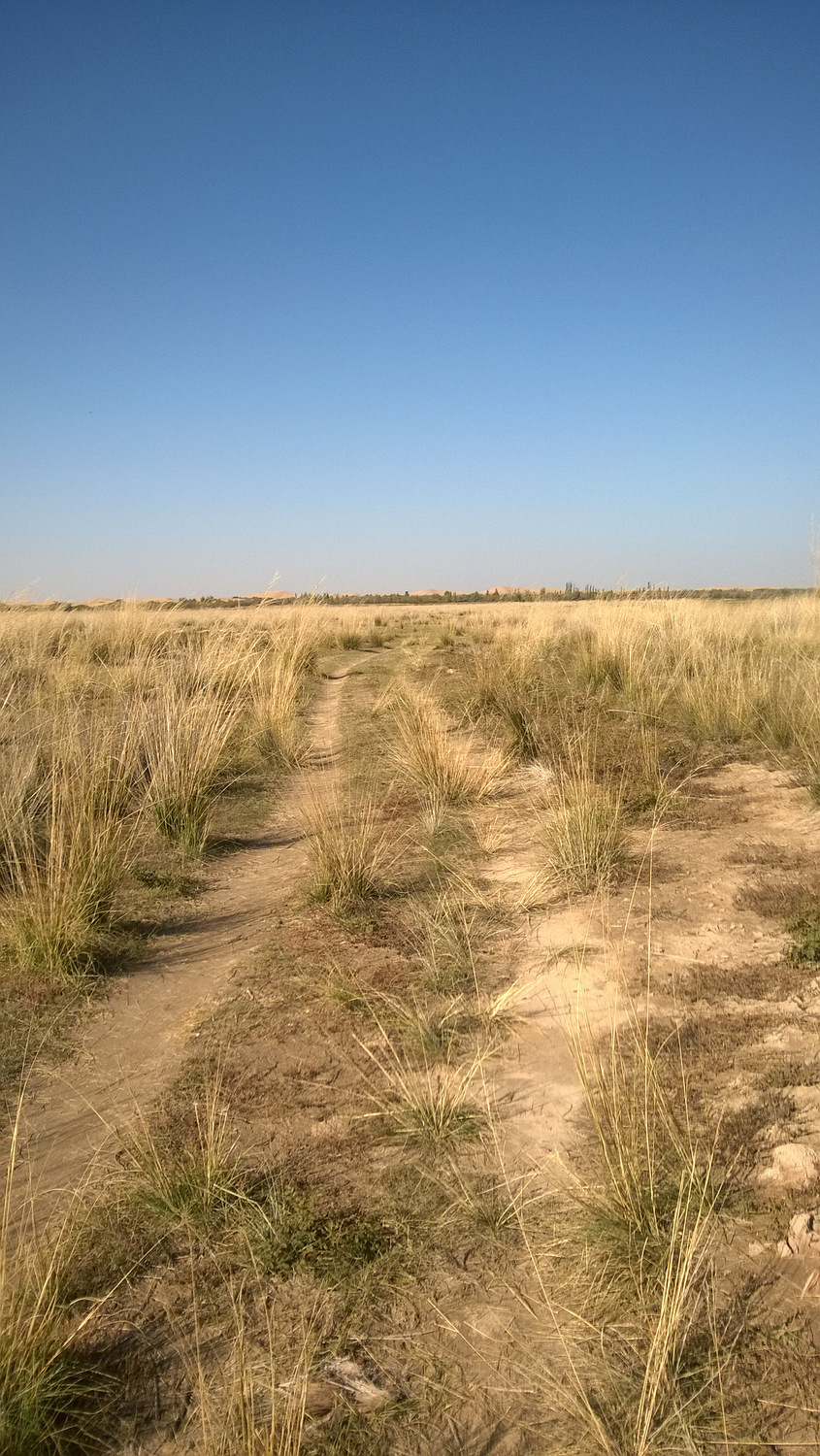 库布齐沙漠穿越之旅,库布齐沙漠西线穿越攻略