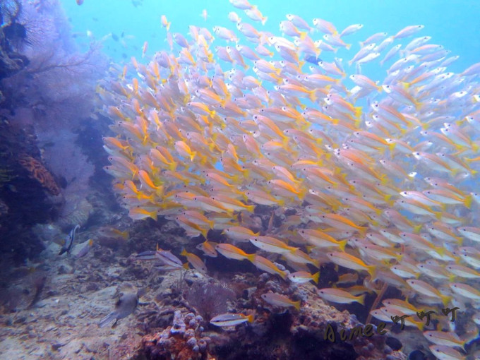 阳光沙滩与海边,阳光与沙滩结局