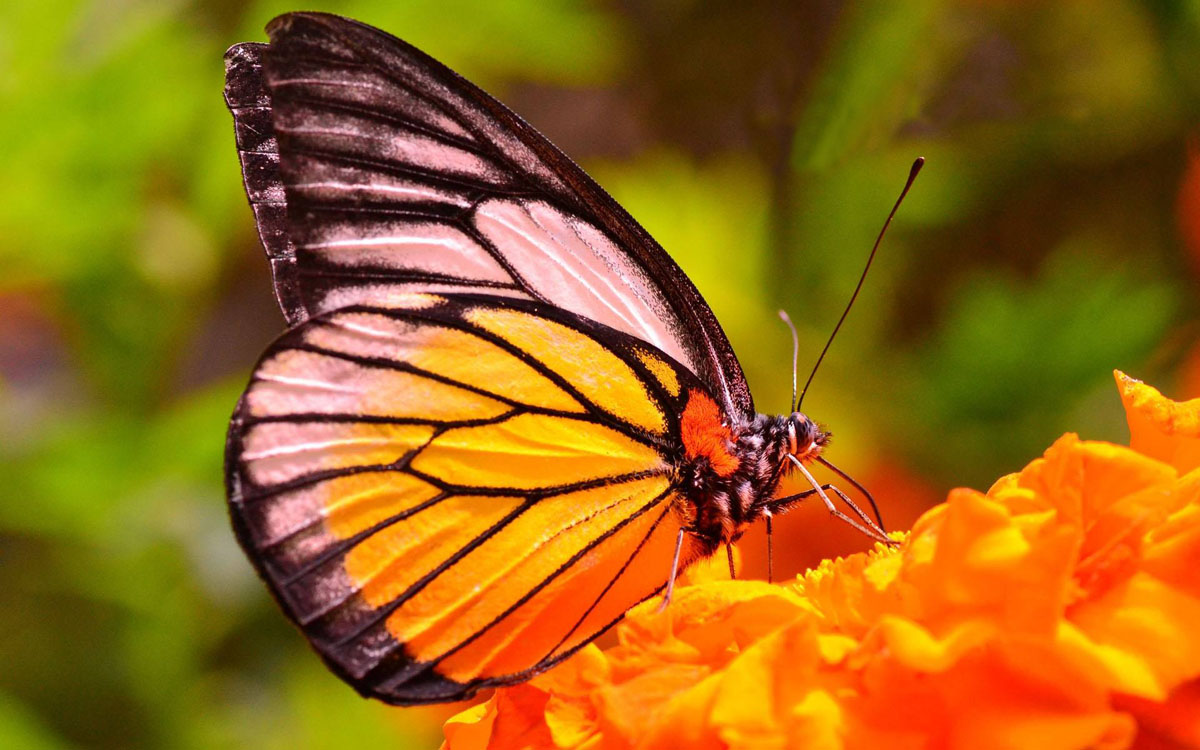 摄影单反镜头的使用方法,单反相机摄像用什么镜头好