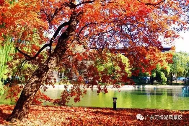 福利丨2017年的最后一个月，送你一场万绿湖双人豪华游