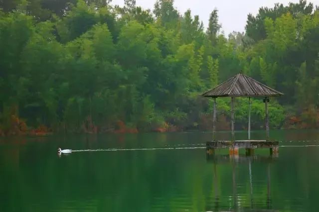 福利丨2017年的最后一个月，送你一场万绿湖双人豪华游