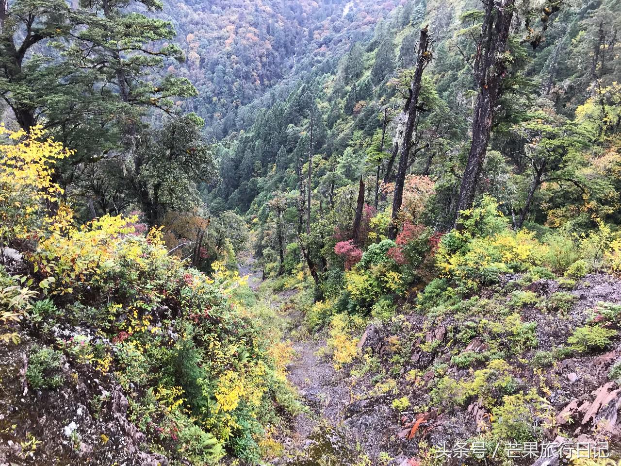 一个人独闯边境,一个人独闯的视频