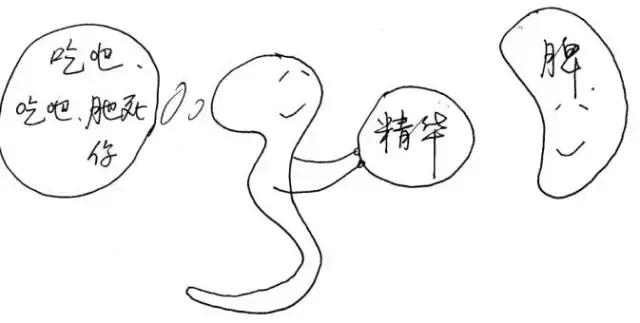 人体十二经络的对应时间表,人体各经络当令时间表