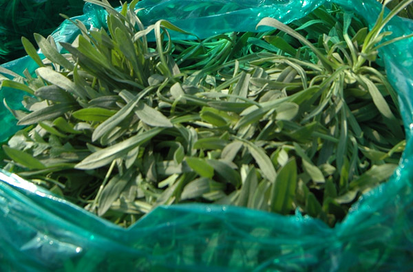 还没有过头条号新手期的朋友看过来,25天转正菜鸟我只做了5件事