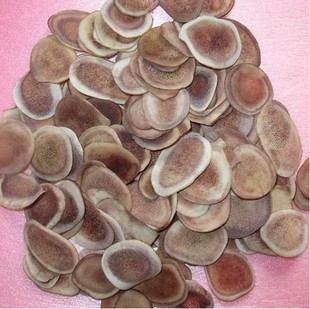 朱玉良治疗强直性脊柱炎,张奉春讲强直性脊柱炎