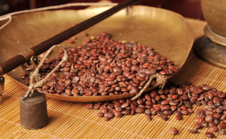 心神不宁多梦失眠按哪个穴位,失眠多梦心神不宁一味中药