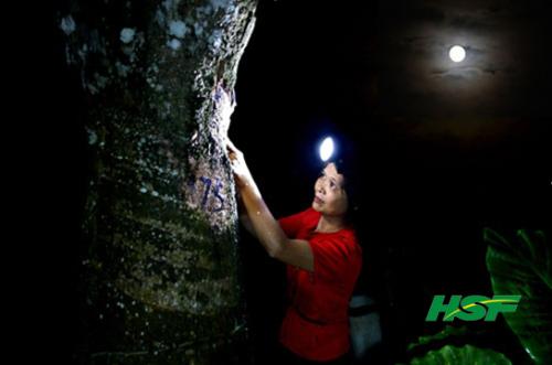 诱捕蜈蚣剂的配方和使用方法,蜈蚣诱捕技术