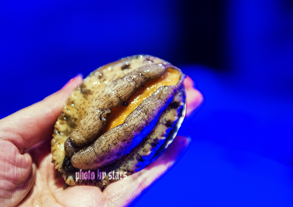 又一家暖爆上海冬天的网红黄金锅,让你穿越TVB