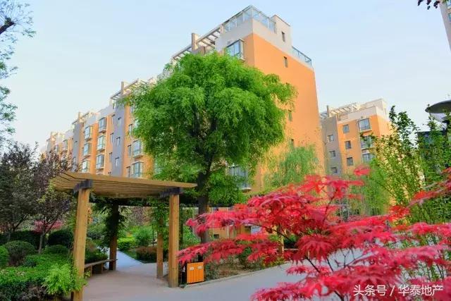 这样的西华泰,谁敢住!