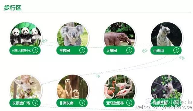 广州长隆亲子游最省钱攻略,广州长隆亲子游最全游玩攻略