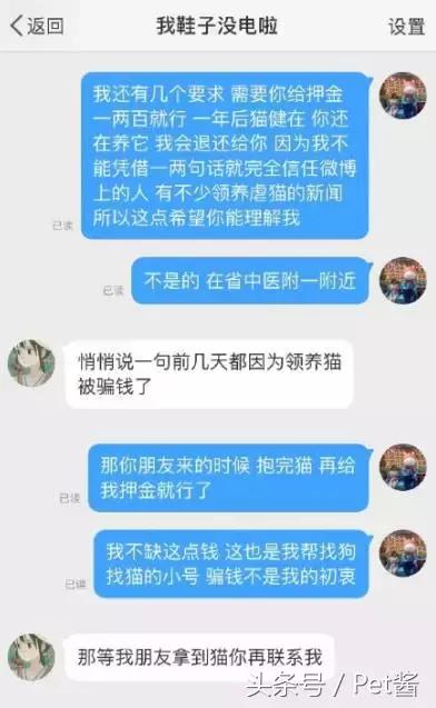 救助者领养猫狗,领养猫咪时说什么能让原主人放心