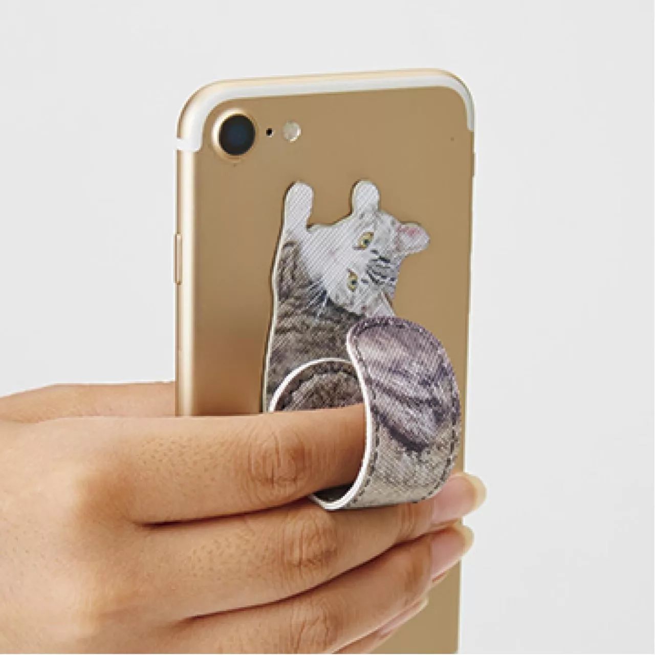 对不起，不能我一个人穷！只能把这些美翻了的猫咪美妆安利给你了