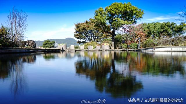 诺唯真邮轮喜悦号攻略,诺维真喜悦号日本游