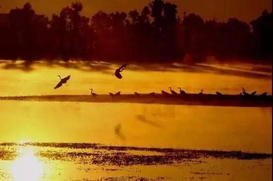 我美丽的家乡弥渡,我的家乡弥渡作文