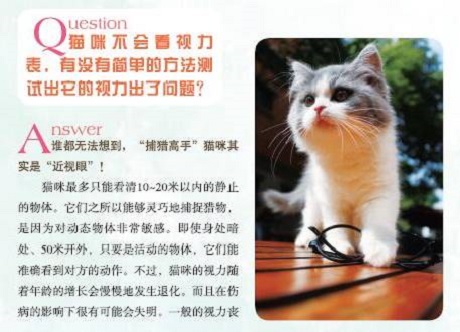 这都不知道，还敢说你会养猫？