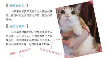 这都不知道，还敢说你会养猫？