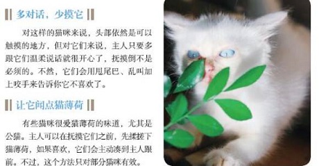 这都不知道，还敢说你会养猫？