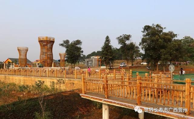 脱贫大变化美丽乡村展新颜,脱贫乡村翻天覆地的变化