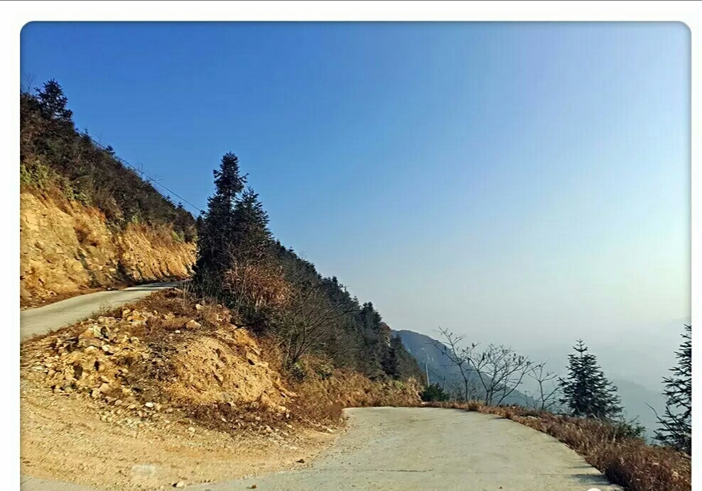 高山生态养殖石蛙,石蛙养殖海拔