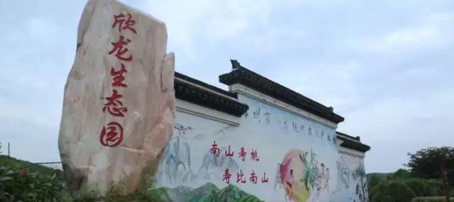 离城市不远靠自然很近,离城市不远却离自然很近完整版