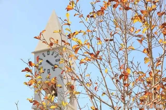 昆十怎么样,昆十中教学质量如何