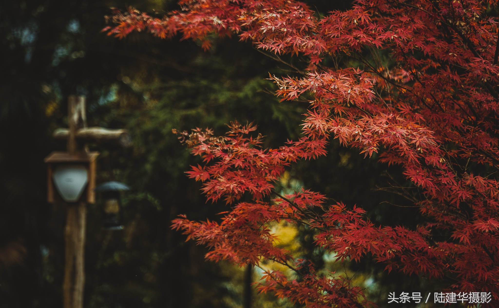 婺源篁岭最美村落,婺源有着中国最美山村称号