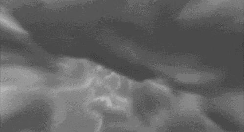 万万没想到!它低调了450多年,却因上海迪士尼一夜间火遍全国!