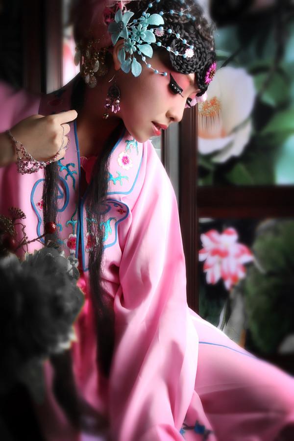 《*瓶金**梅》有没有续书？