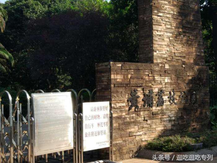 荔枝公园有什么景点,荔枝公园有没有平地