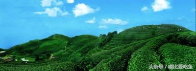 漳州市特产有哪些,漳州的特产有哪些介绍