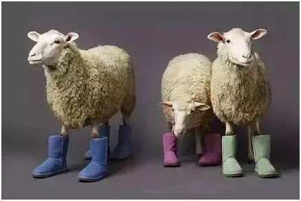 ugg到底是不是一个品牌,ugg有几个牌子