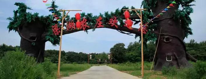 武汉市东西湖区柑橘采摘园,武汉采摘园橘子