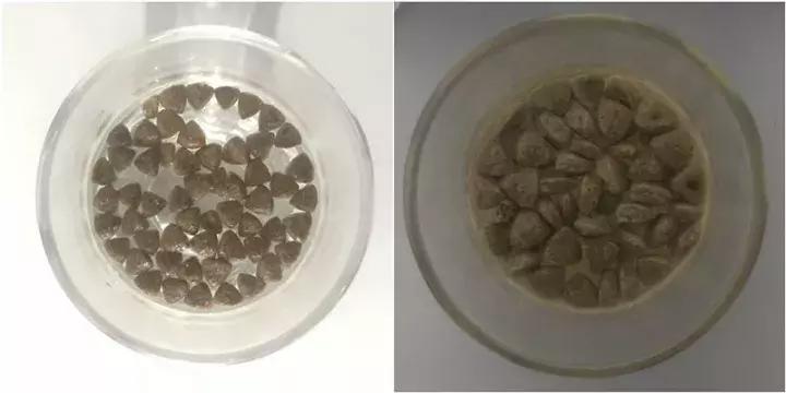 海洋之星superior测评,海洋之心一代真实测评