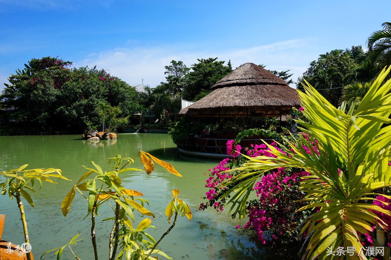 中国平安越南芽庄之旅价格,越南芽庄之旅文案